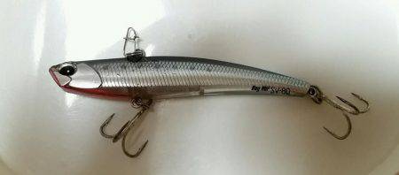 早朝シーバス釣行。底からの巻き上げで1ゲット。